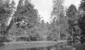 Bäcken i Mullhyttemo, 1942
