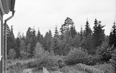 Bäcken i Mullhyttemo, 1942