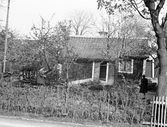 Vaktknektbacken, 1954