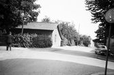 Fredsgatan österut,  1954