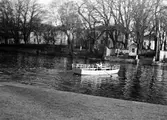 Roddfärja över Svartån, 1936