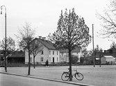 Cykel lutat mot träd på Trädgårdsgatan, 1937