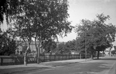 Trädgård Kasten Ottergatan och Engelbrektsgatan, 1930-tal