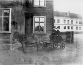 Hästen Sickan utanför Storgatan 36, 1895