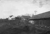 Gård i Förlunda, 1938
