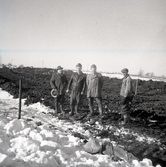 Vägbygge Lundegård - Lilla Dalby 10/2 1960.