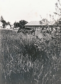 Ladugård till Markbacken gård, 1931