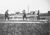 Timmerbilning vid byggandet av Västra Marks skola, 1913
