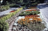Blomstergatan i brunnsparken, 1960-tal