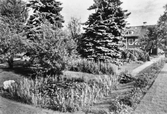 Brunnstorps trädgård, 1950-tal