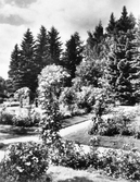 Trädgården vid Brunnstorps gård, 1950-tal