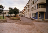 Upprustning av Markbacken, 2001