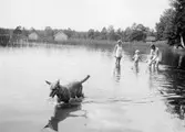 Kvinnor med hund och badande barn vid Lindholmen, 1931