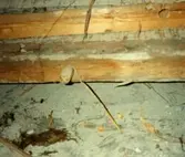 Golv från Lundmarkska villan, ca 1985