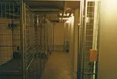 Källarförråd i Lundmarkska villan, ca 1985