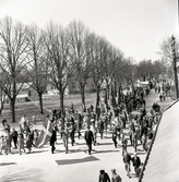 Första majfirande i Borgholm.