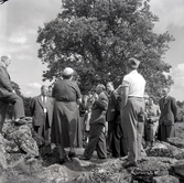 Valet 1954. Bror Hellberg, Bror Svensson, Albin T. Forsman och valarbetare.