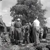 Valet 1954. Bror Hellberg, Bror Svensson, Albin T. Forsman och valarbetare.