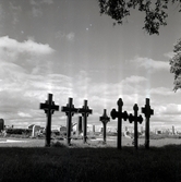 Svarta järnkors på Löts kyrkogård, september 1957.