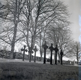 Svarta järnkors på Löts kyrkogård, september 1957.