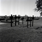 Svarta järnkors på Löts kyrkogård, september 1957.