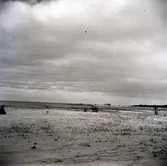 Ekerums gård, utsikt över Solhöjden vårvintern 1957.