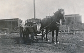 Hästtransport vid Marks tegelbruk, 1931