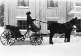 Hästskjuts på Hjärsta gård, 1919