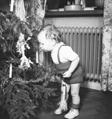 Hans vid julgranen, 1943