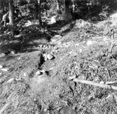 Stensamling (ej fornlämning)ca 6 m NO om fornlämning nr 3.