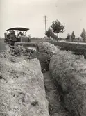 Igenfyllning av ledningsschakt för gasledning, 1945
