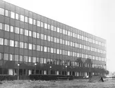 Tältning utanför matsalen, 1981