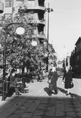 Gatubelysning vid Våghustorget, 1980-tal