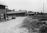 Lador på gård i Adolfsberg, 1983