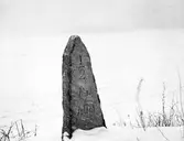 Milsten Svennevad, 1976