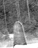 Milsten i Svennevad, 1976