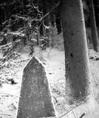 Milsten i Lerbäck, 1976