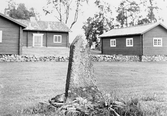 Milsten vid hus i Kvistbro, 1980