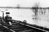 Dressin vid översvämning vid järnväg i Sannahed, 1969