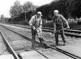 Järnvägsarbetare med slagborren Pionjär och fyller med makadam, 1969, 