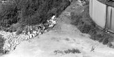 Nedskräpning vid elverket, 1960-tal