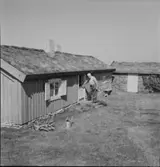 Fil dr Knut Hagberg (Svenska Dagbladet) interiör o exteriör, Hagbergs stuga på Alvaret. Hagberg själv