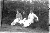 Tre kvinnor sitter i en gräsbacke med en katt eller hund vid en gärdsgård. I bakgrunden ligger en gård.