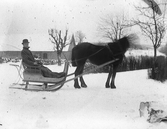 En man sitter i släde bakom hästen en vinterdag. I bakgrunden ses en ladugård. Till höger ligger en trästock.