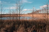 Anlagd våtmark, Frugården Vänersnäs