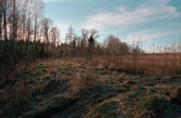 Anlagd våtmark, begränsningsvallar mot ost och sydost, Frugården  Vänersnäs