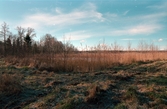 Anlagd våtmark, begränsningsvallar mot ost och sydost, Frugården  Vänersnäs