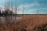 Anlagd våtmark, Frugården  Vänersnäs