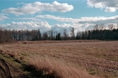 Anlagd våtmark bakom vall mot åker, Frugården  Vänersnäs