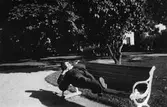 Vila på parkbänk, 1930-tal